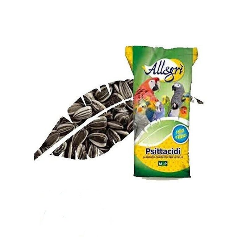 Allegrì Semi di Girasole Grande per Pappagalli Medio-Grandi | Zeus Pet Shop