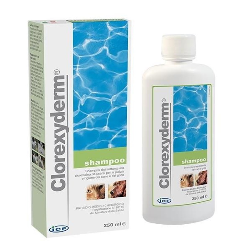 ICF Clorexyderm Shampoo Disinfettante Cane e Gatto 250 ml | Zeus Pet Shop