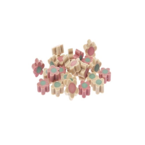 Ferribiella Bone Fruit Snack Cane Fiorellini Gusto Frutta 120 gr | Zeus Pet Shop